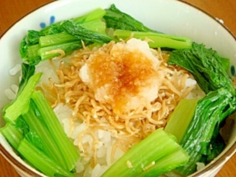 ちりめん山椒のみぞれ丼ぶり（ミニ）★巣篭り風